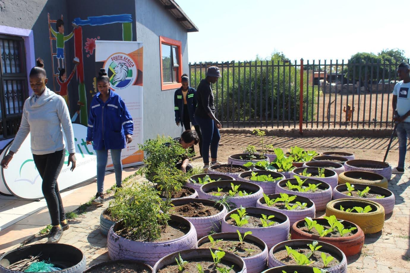LIVE-EX in South Africa: Growing Futures Through No-Dig Youth Gardens